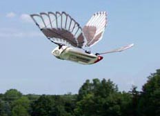 Cybird radio-controlled ornithopter